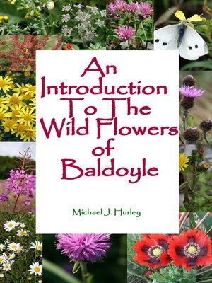 cover image of An Introduction to the Wildflowers of Baldoyle